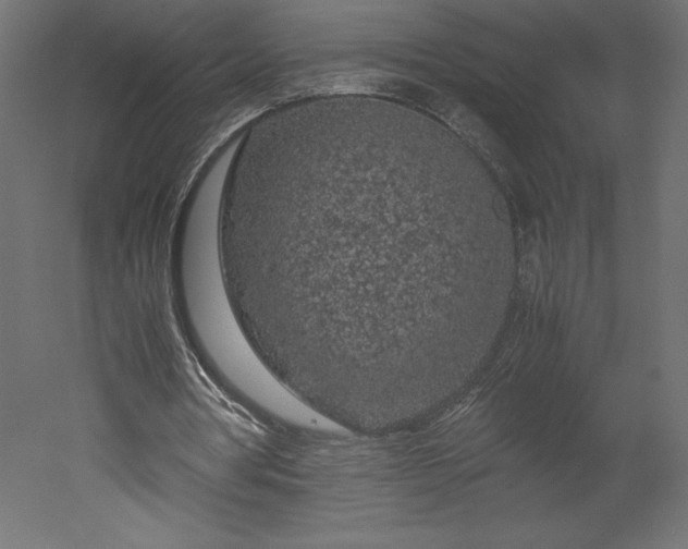 X0000051900386200507011513