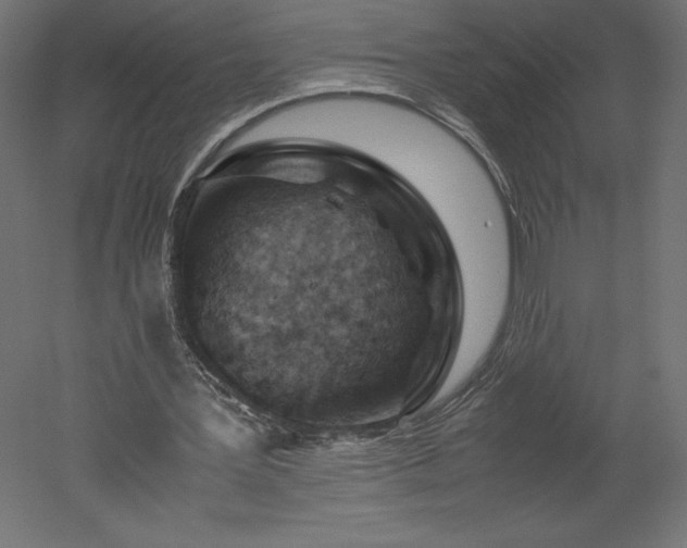 X0000051900387200507011513