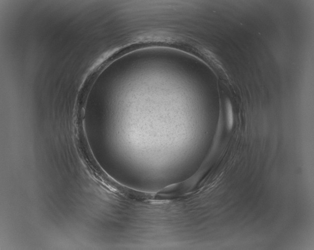 X0000051900388200507011513
