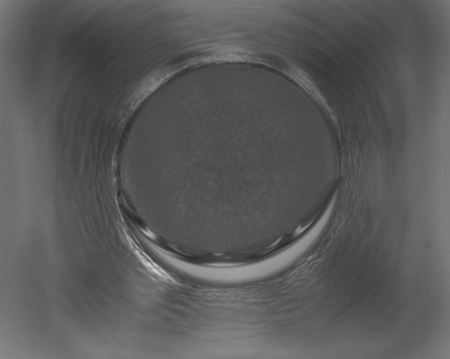 X0000051900389200507011513