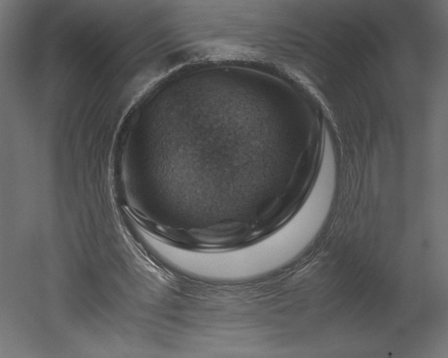 X0000051900391200507011513