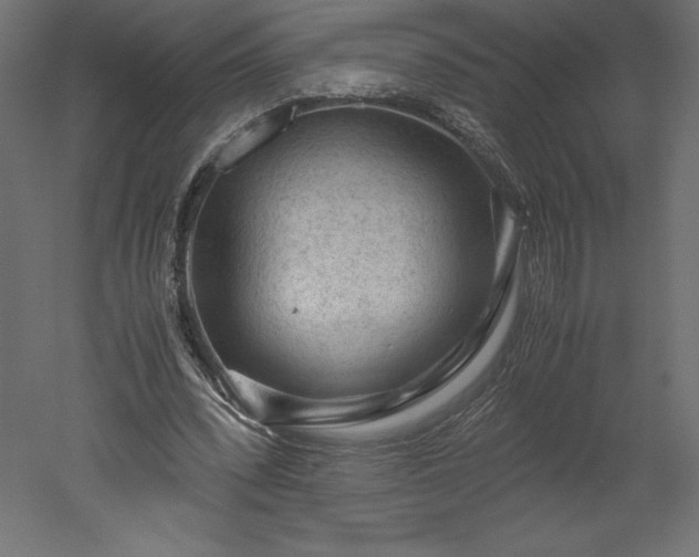 X0000051900392200507011513