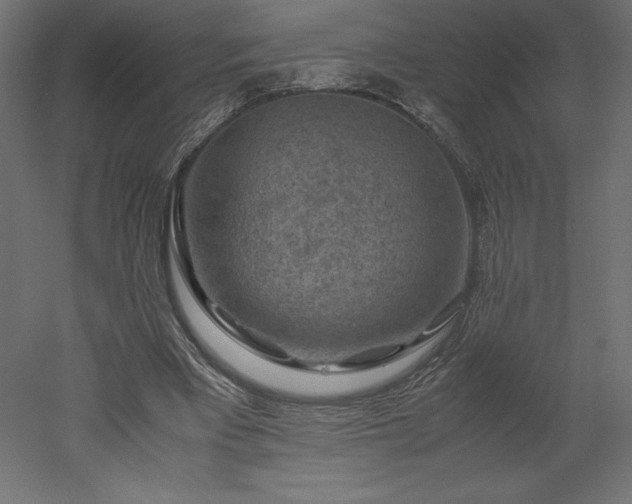 X0000051900393200507011513