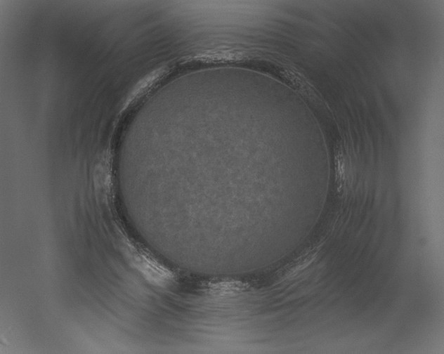 X0000051900396200507011513