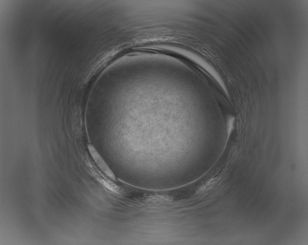 X0000051900397200507011513