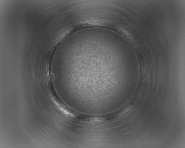 X0000051900398200507011513