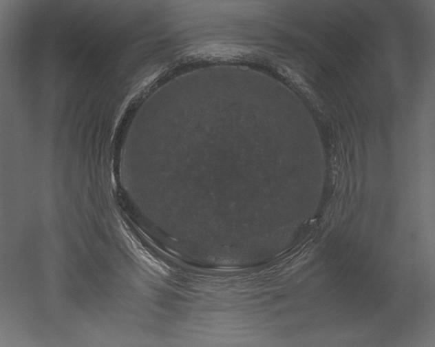 X0000051900399200507011513