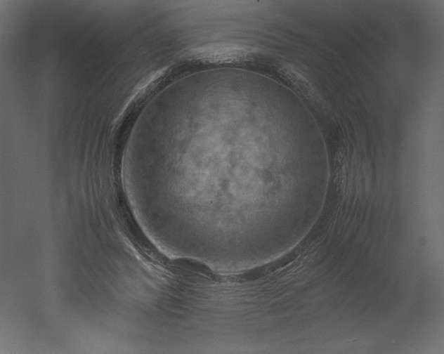 X0000051900400200507011513
