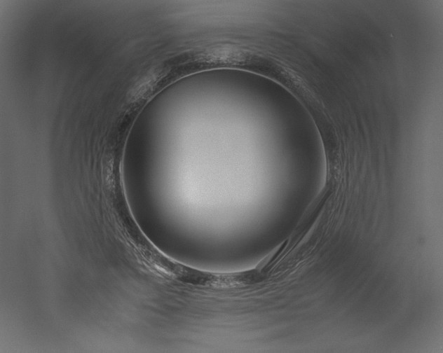 X0000051900403200507011513