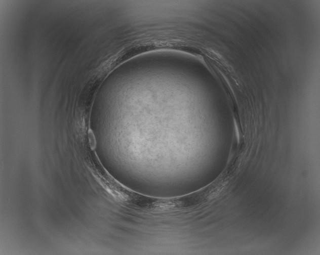 X0000051900405200507011512