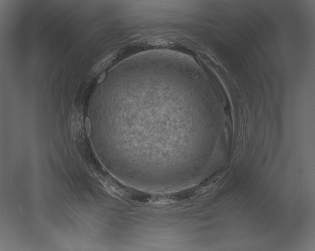 X0000051900407200507011512