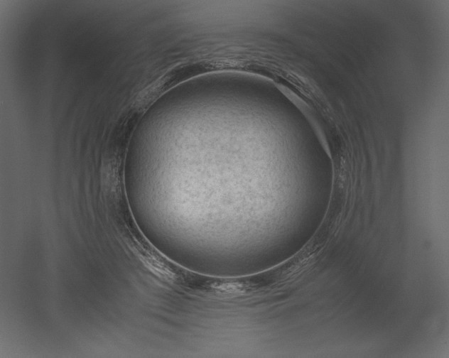 X0000051900409200507011512