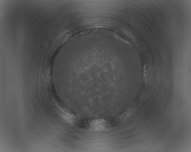 X0000051900410200507011512