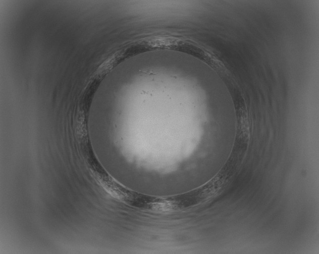 X0000051900411200507011512