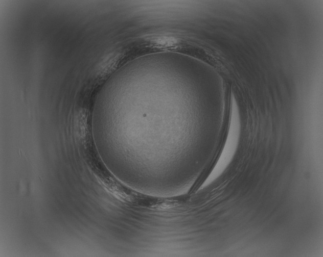 X0000051900412200507011512