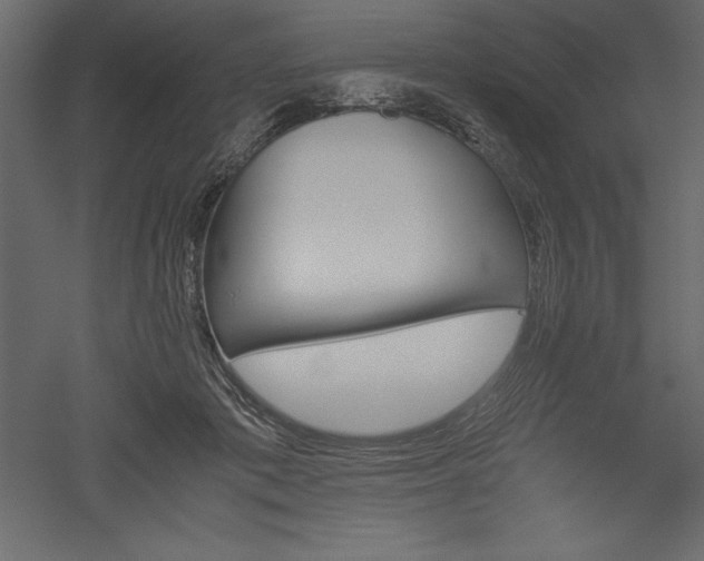 X0000051900413200507011512