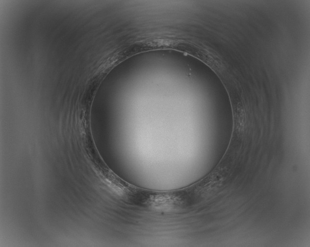 X0000051900414200507011512