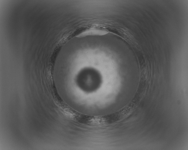 X0000051900415200507011512
