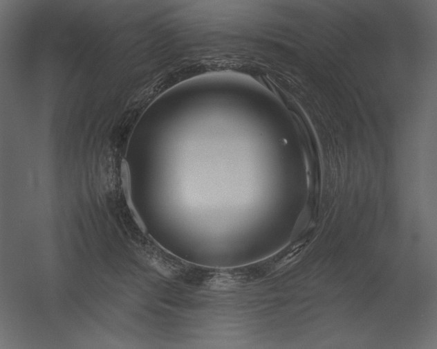 X0000051900416200507011512