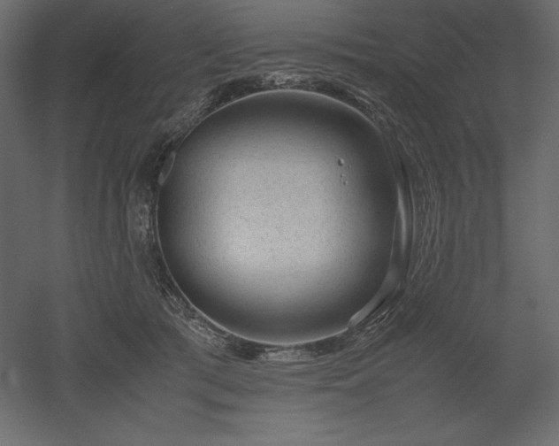 X0000051900417200507011512