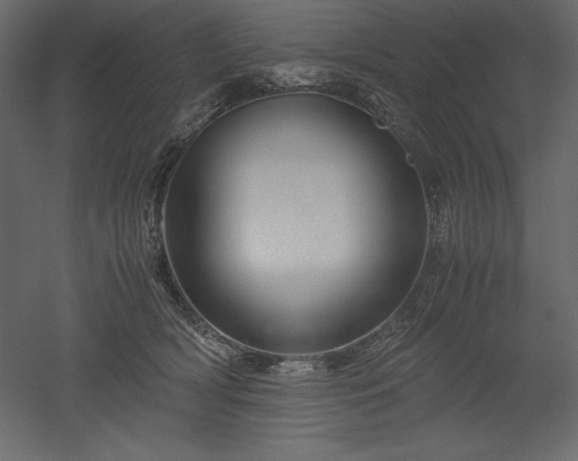 X0000051900418200507011512