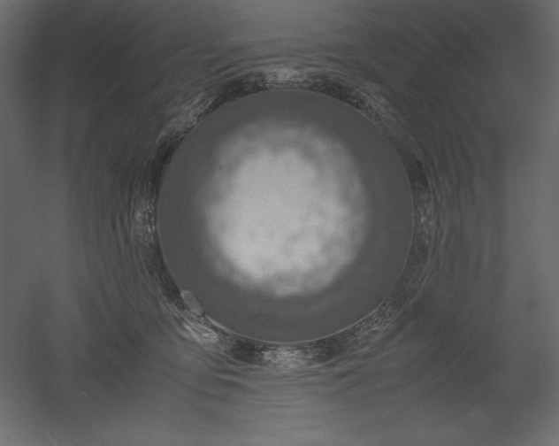 X0000051900419200507011512
