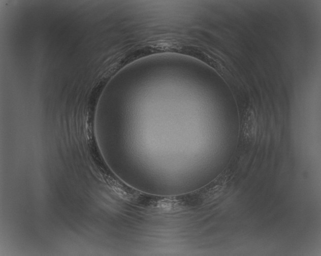 X0000051900420200507011512