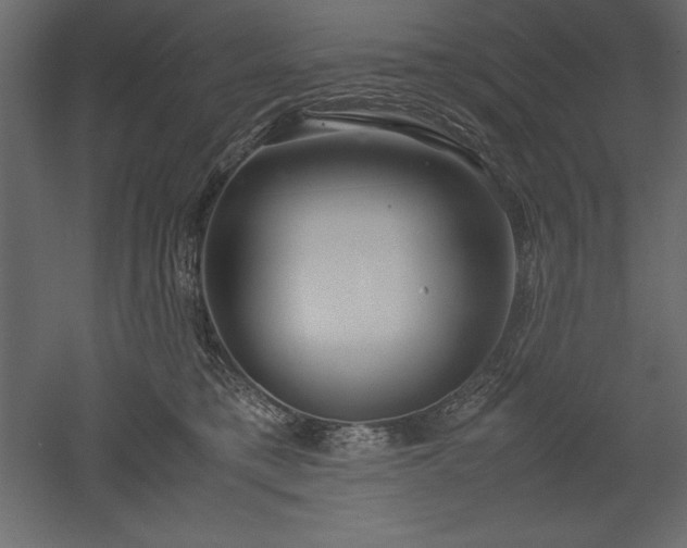 X0000051900421200507011512