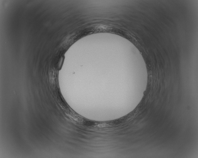 X0000051900423200507011512