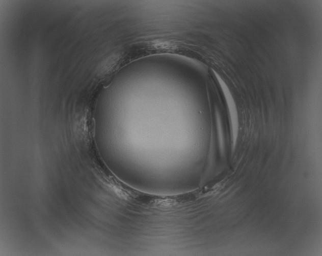 X0000051900424200507011512