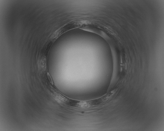 X0000051900425200507011512