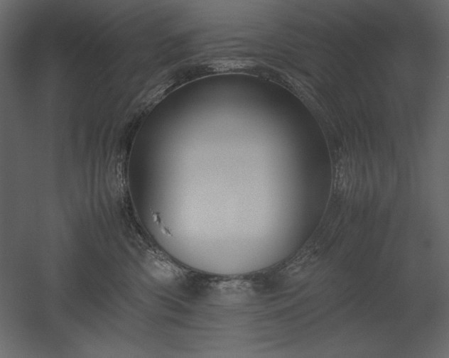 X0000051900426200507011512