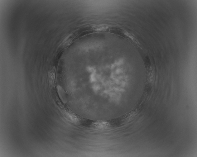 X0000051900427200507011512