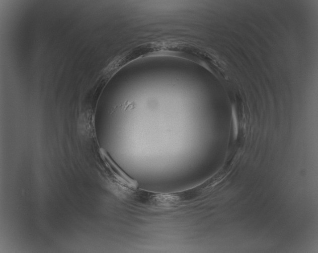 X0000051900429200507011512