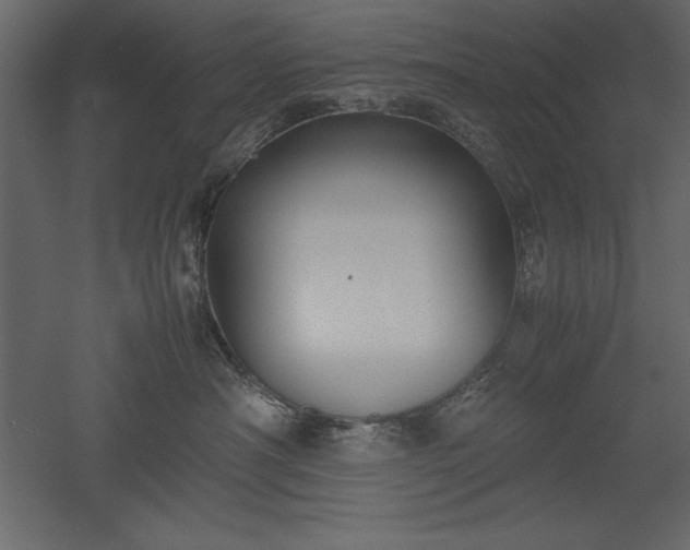 X0000051900430200507011512