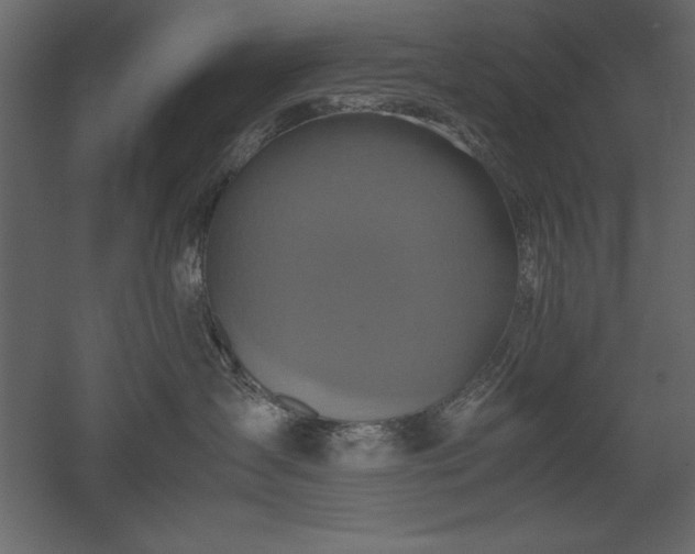 X0000051900431200507011512