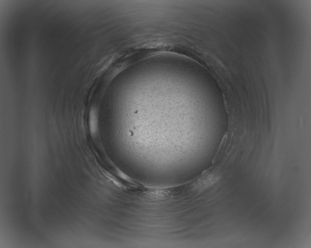 X0000051900432200507011512