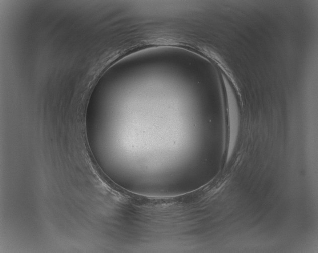 X0000051900433200507011511