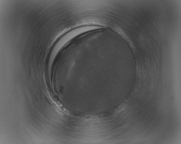 X0000051900434200507011511