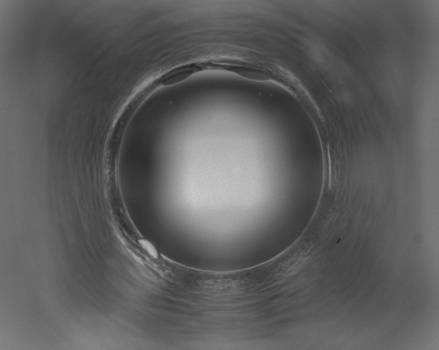 X0000051900435200507011511