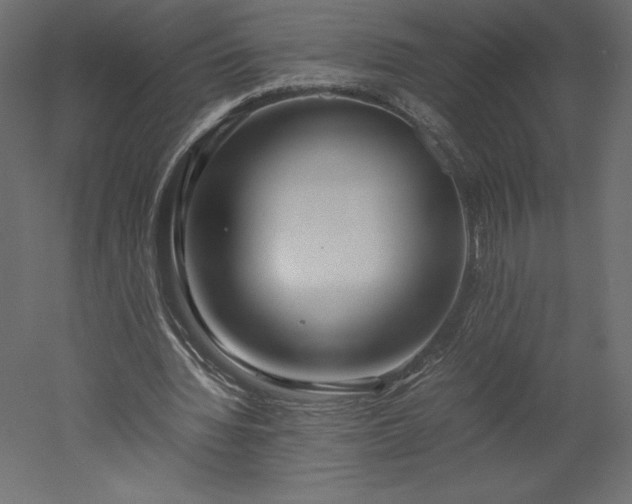 X0000051900436200507011511