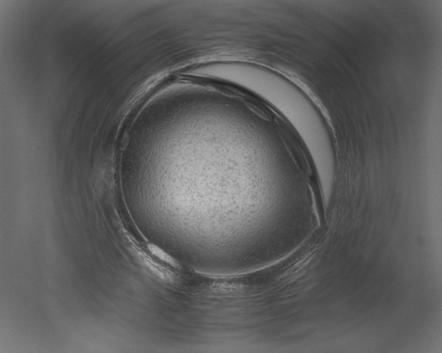 X0000051900437200507011511