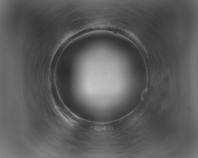 X0000051900439200507011511