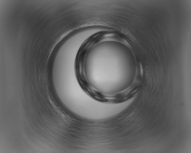 X0000051900440200507011511