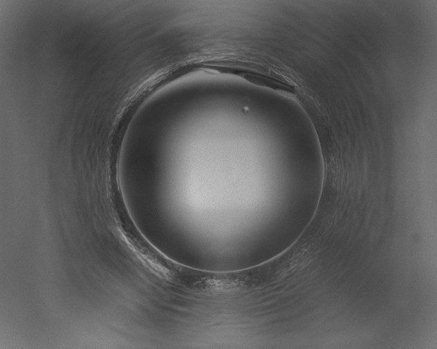 X0000051900442200507011511