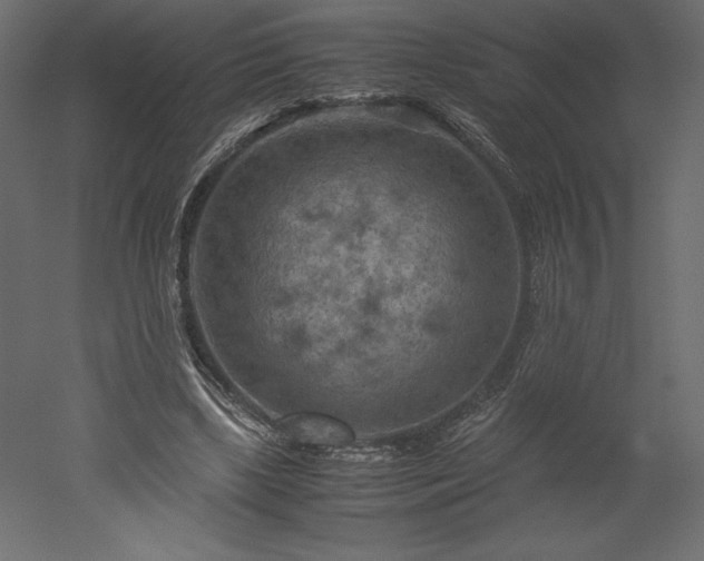 X0000051900443200507011511