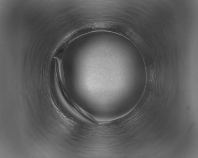 X0000051900444200507011511