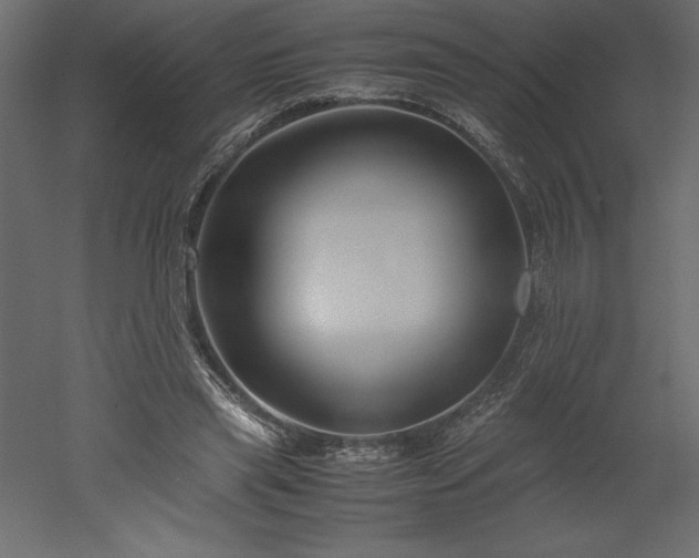 X0000051900445200507011511