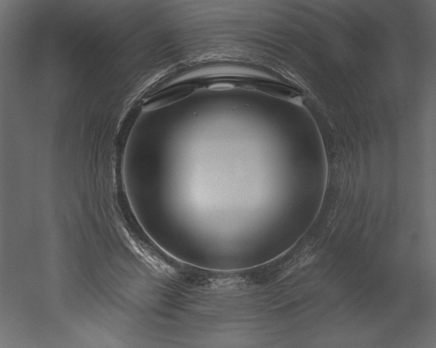 X0000051900446200507011511