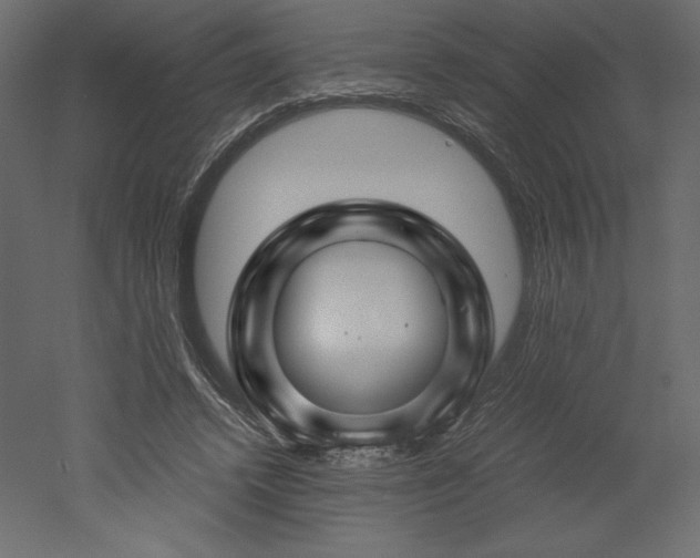 X0000051900448200507011511